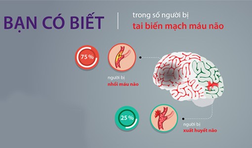 Có 2 dạng tai biến mạch máu não