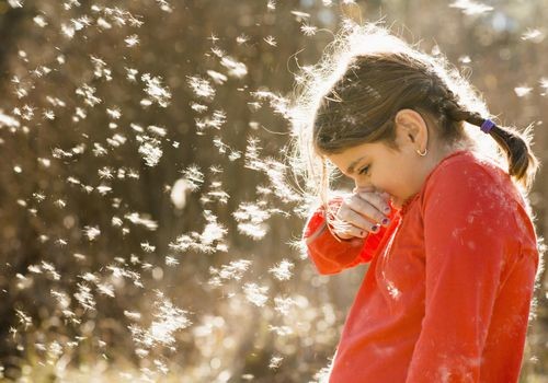 Viêm mũi dị ứng ở trẻ thường xảy ra khi giao mùa
