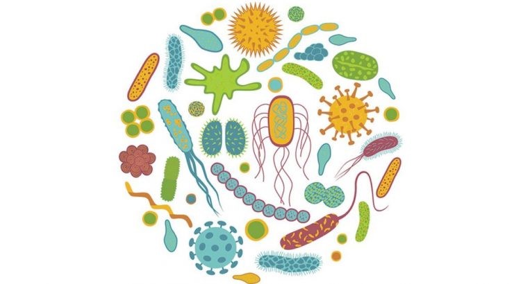 Men vi sinh Bio Vigor