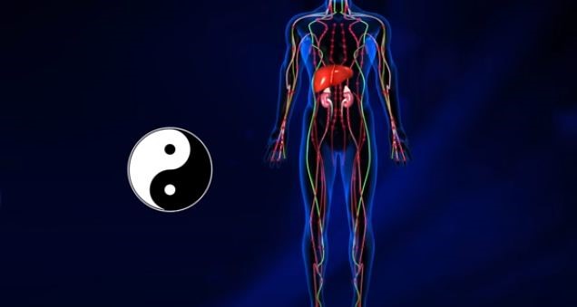 Thuốc Đông y thế hệ 2 tăng cường khí huyết, thông kinh lạc, trừ phong thấp