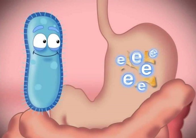 men vi sinh nào tốt