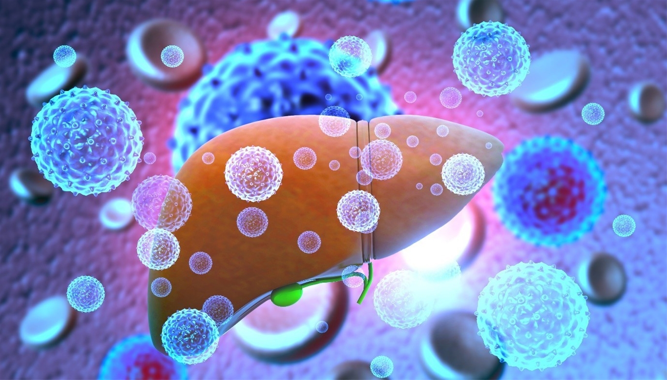 Viêm gan vi rút có thể dẫn đến suy giảm chức năng gan