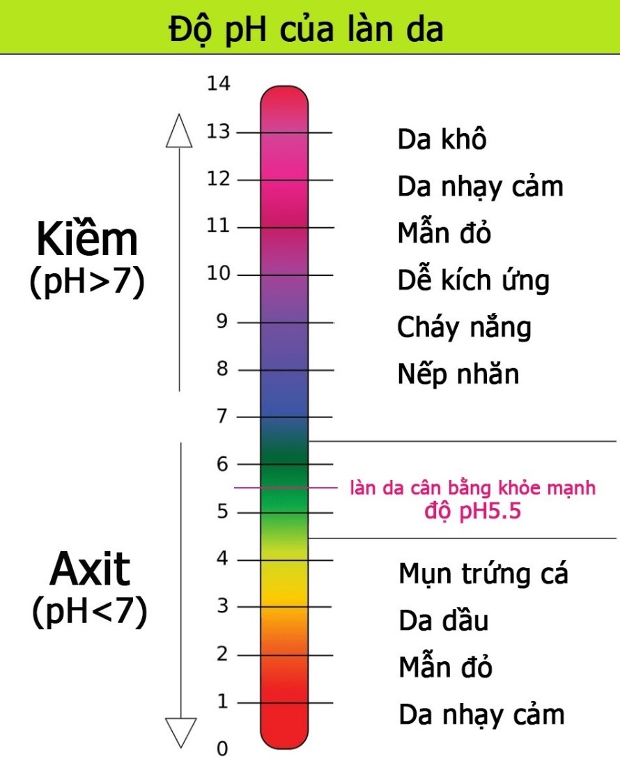 kiểm tra độ pH sữa rửa mặt