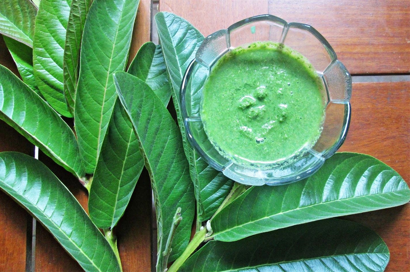 Lá ổi vẫn được nhiều người sử dụng để chữa người bệnh viêm đại tràng thường xuyên bị tiêu chảy