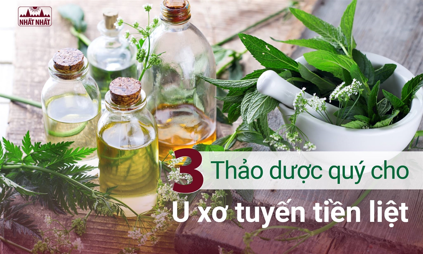 u xơ phìa đại tuyến tiền liệt