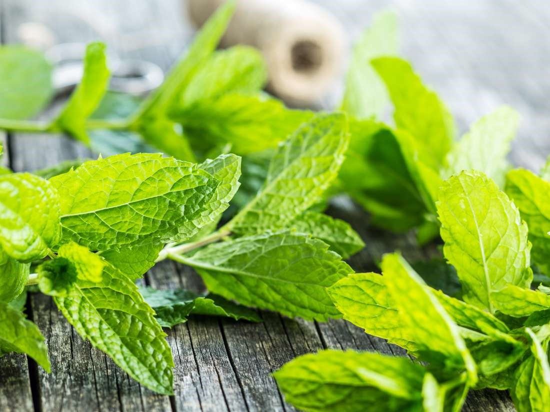 Nhai lá bạc hà giúp tiêu hóa tốt hơn, giảm đau, khó chịu ở dạ dày