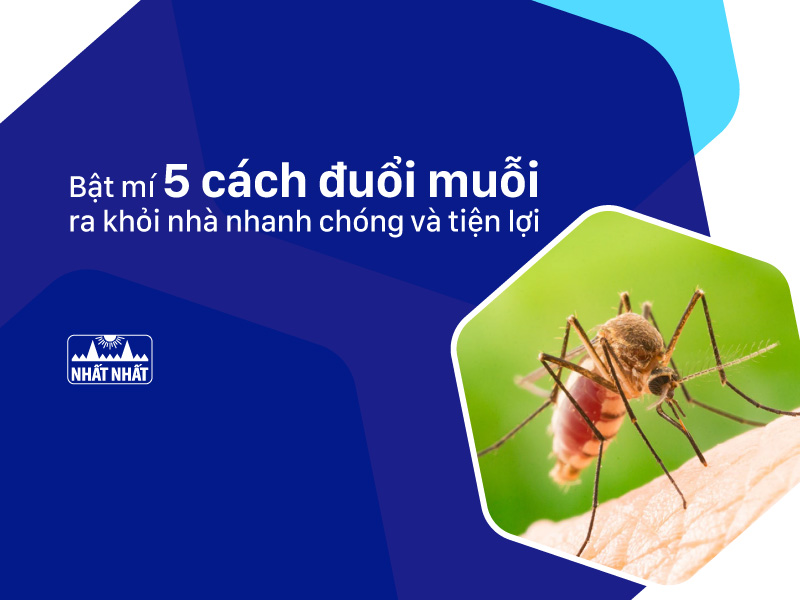 cách đuổi muỗi ra khỏi nhà