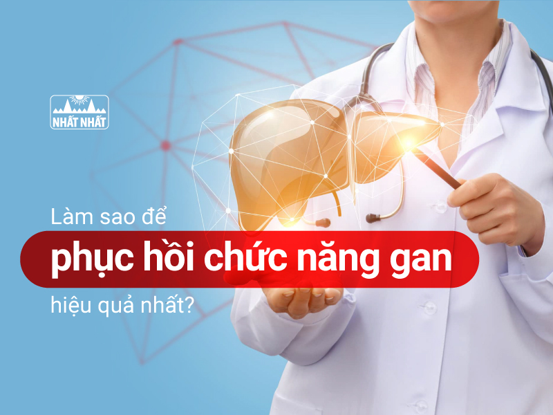 phục hồi chức năng gan