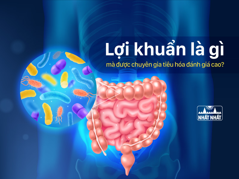 lợi khuẩn là gì 
