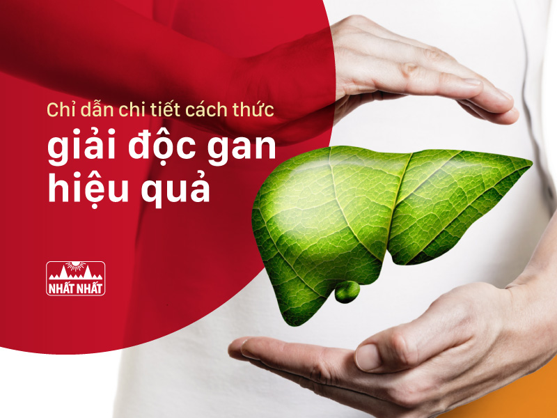 Tìm hiểu các cách giải độc gan hiệu quả