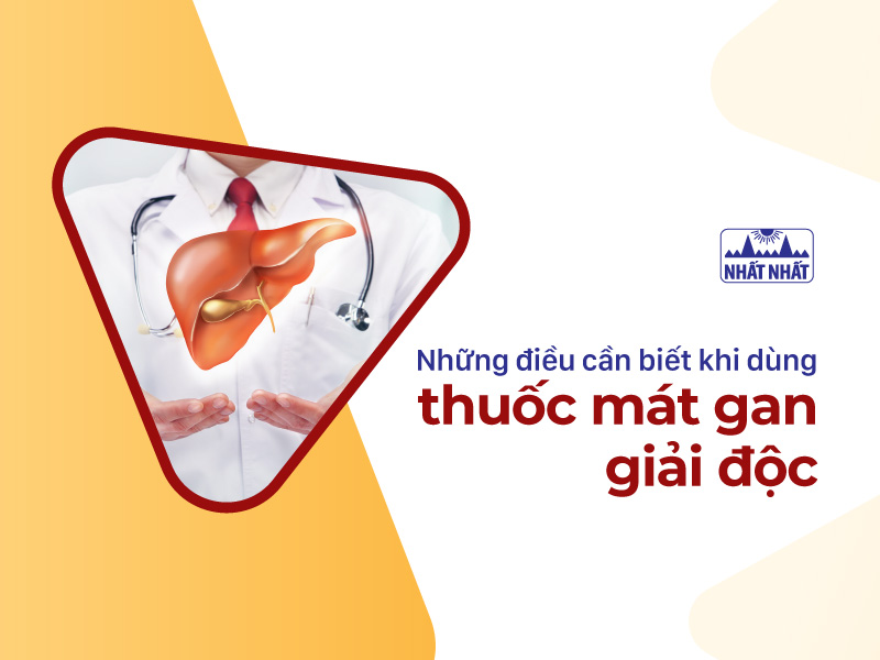 thuốc mát gan giải độc