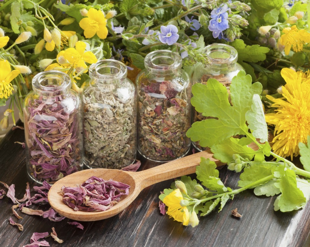 Xu hướng trị bệnh bằng Đông y ngày càng được ưa chuộng