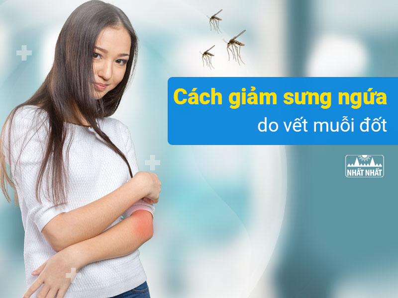 cách giảm sưng ngứa do vết muỗi đốt 