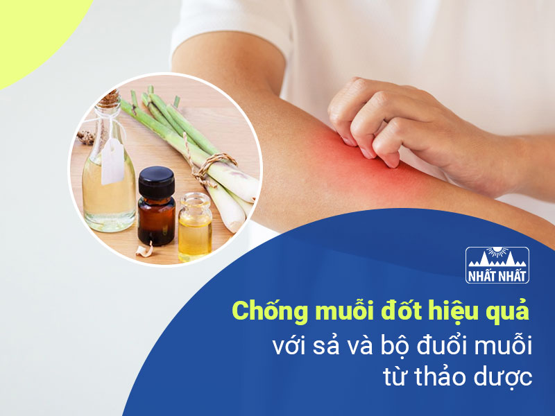 bộ đuổi muỗi