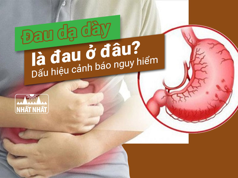đau dạ dày là đau ở đâu