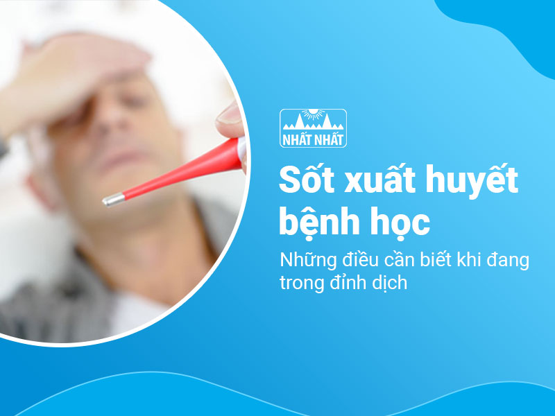 sốt xuất huyết bệnh học