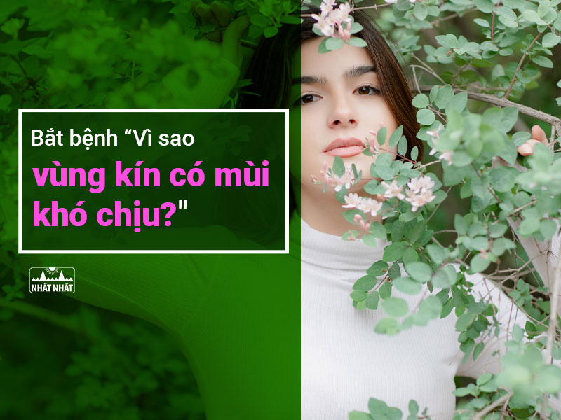 Vùng kín có mùi khó chịu 