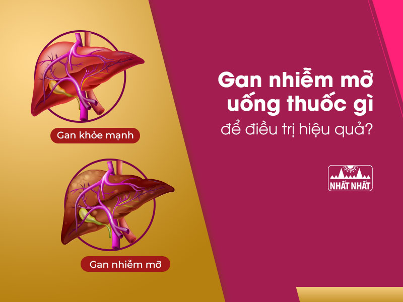 gan nhiễm mỡ uống thuốc gì