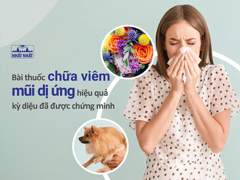 Chữa viêm mũi dị ứng