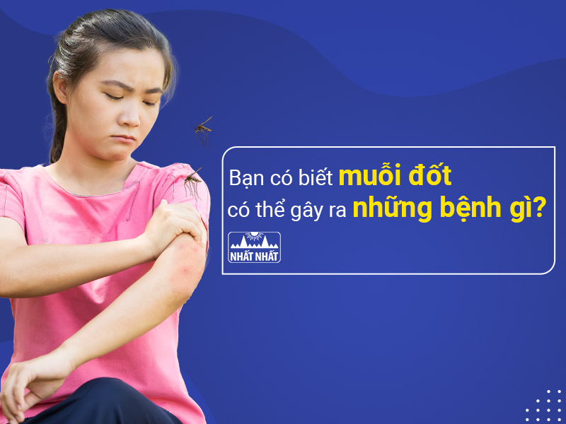 Tìm hiểu muỗi đốt có thể gây ra những bệnh gì