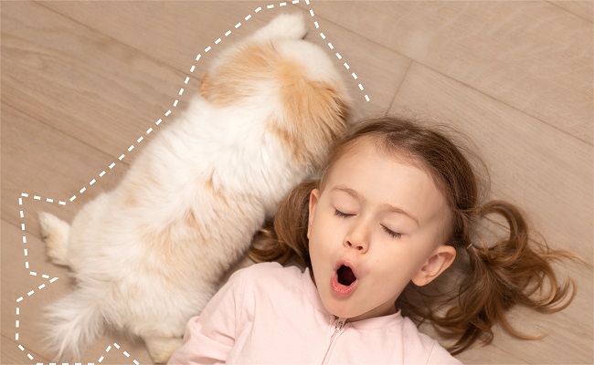 Bé ho sổ mũi có thể là do dị ứng với lông thú cưng