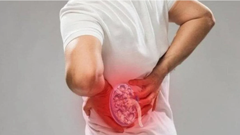 Bệnh lý thận tiết niệu cũng thường xuyên gây cơn đau ở lưng trái