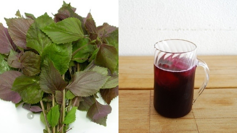 Chướng bụng đầy hơi