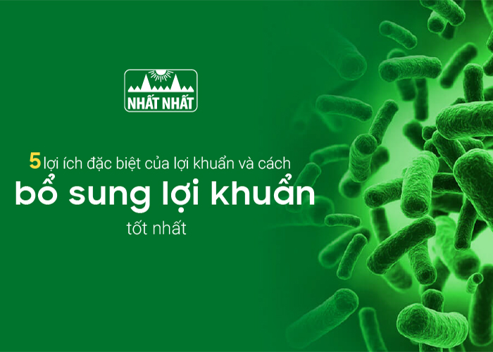 Lợi khuẩn có tác dụng gì