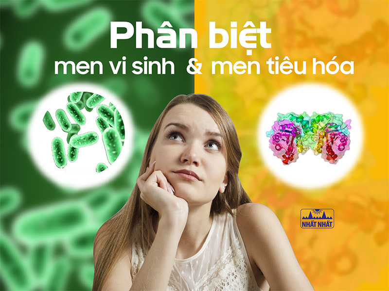 men vi sinh và men tiêu hóa