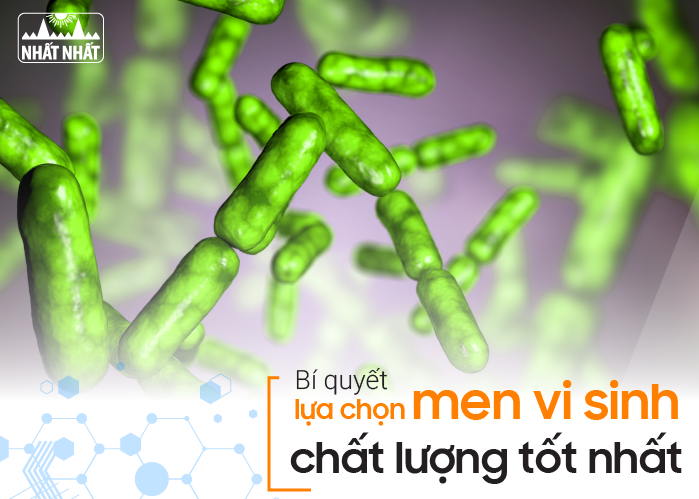 men vi sinh chất lượng tốt
