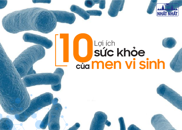 tác dụng của men vi sinh