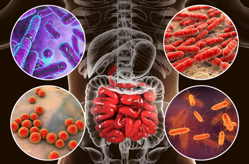 Bổ sung men vi sinh giúp bảo vệ sức khỏe đường ruột