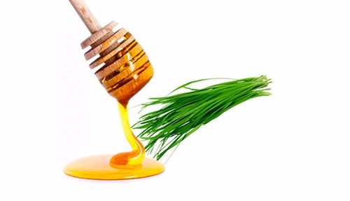 Các bài thuốc dân gian giúp trị cảm an toàn, hiệu quả cho trẻ