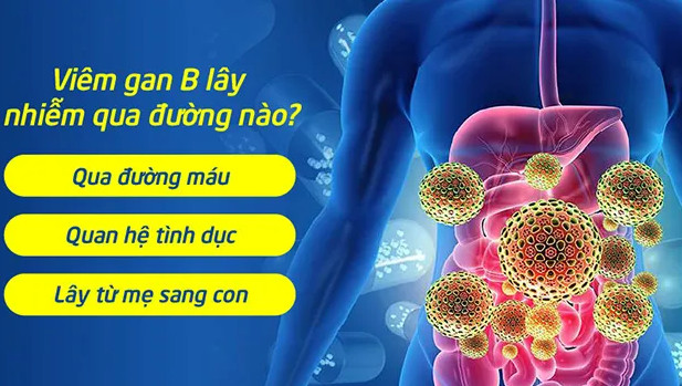 Các con đường lây nhiễm viêm gan B phổ biến