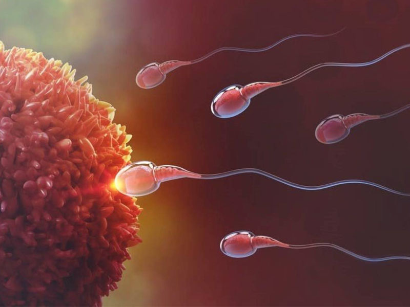 các loại bao cao su 