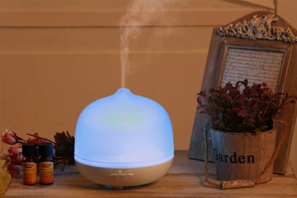 cách đuổi muỗi hiệu quả 