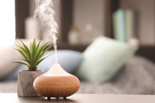 đuổi muỗi bằng tinh dầu