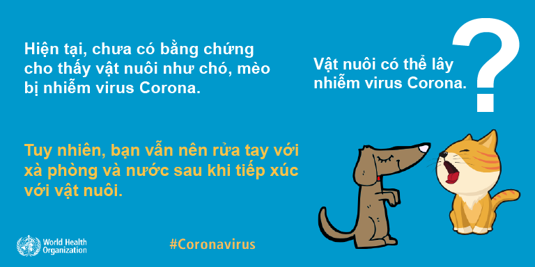 virus corona mới