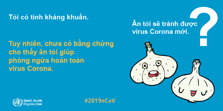 virus corona mới