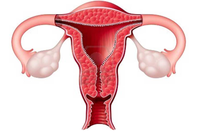 Cấu trúc âm đạo sâu và nhiều nếp gấp dễ khiến viêm nhiễm phát triển