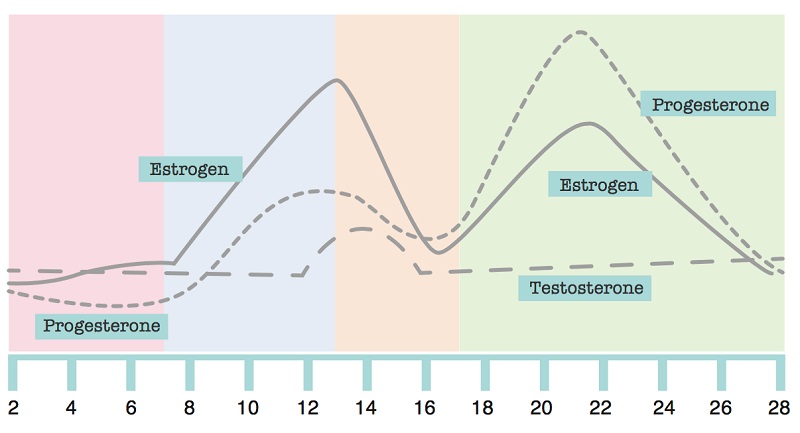 chống lão hóa cho da