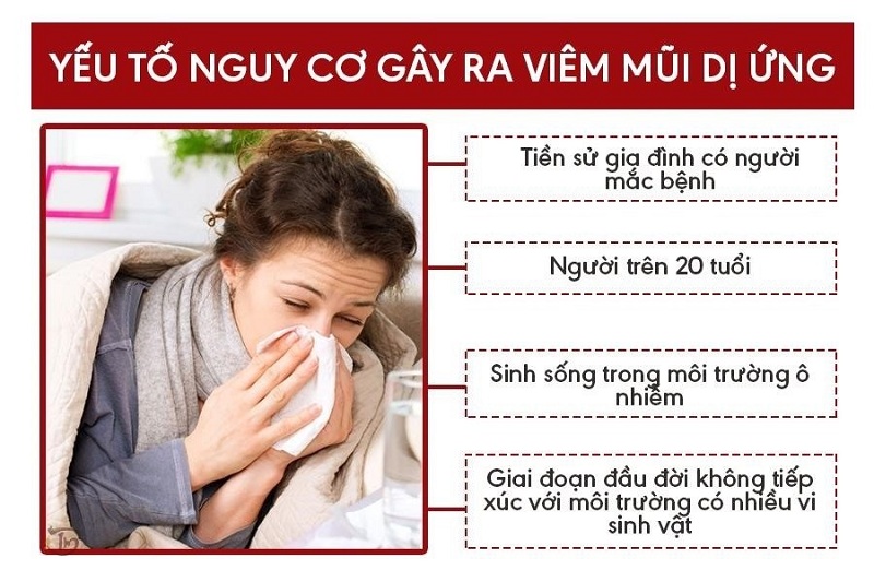 điều trị dứt điểm viêm mũi dị ứng