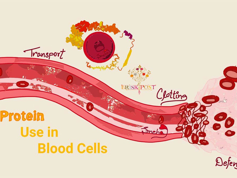 kiểm tra chức năng gan