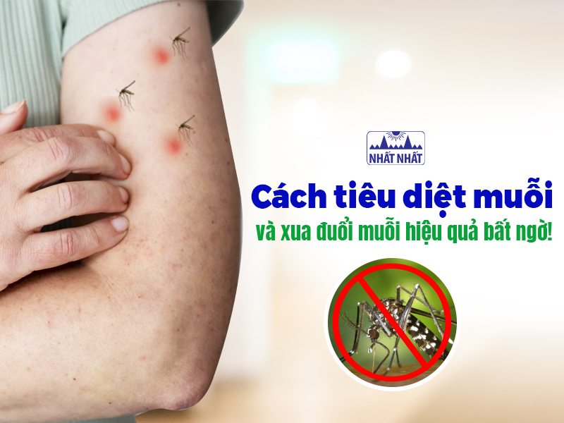 Có cách tiêu diệt muỗi hiệu quả thực sự không?