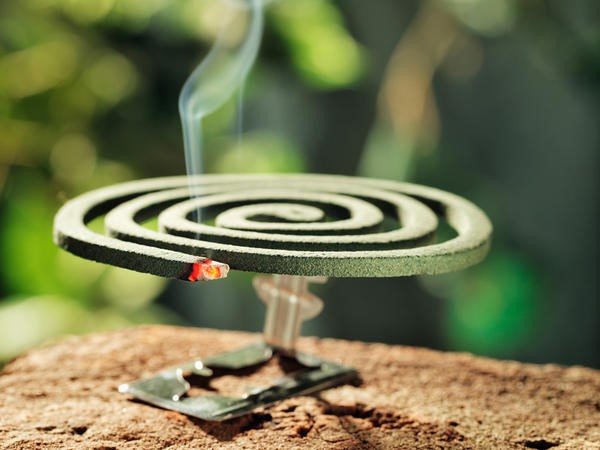 Có thể đốt hương chống muỗi bên ngoài nhà để xua đuổi muỗi và côn trùng