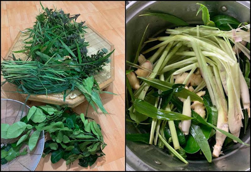 Có thể xông lá giúp giải cảm