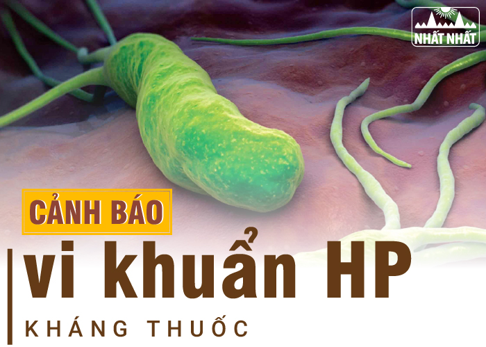 vi khuẩn Hp kháng thuốc