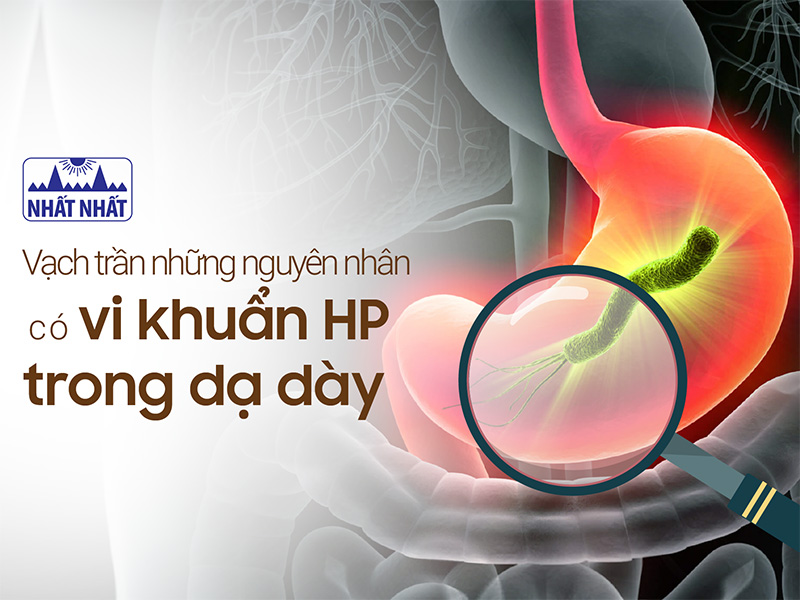 nguyên nhân có vi khuẩn hp trong dạ dày