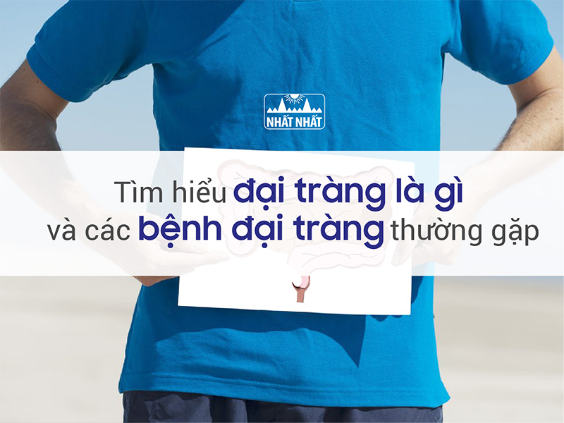 đại tràng là gì