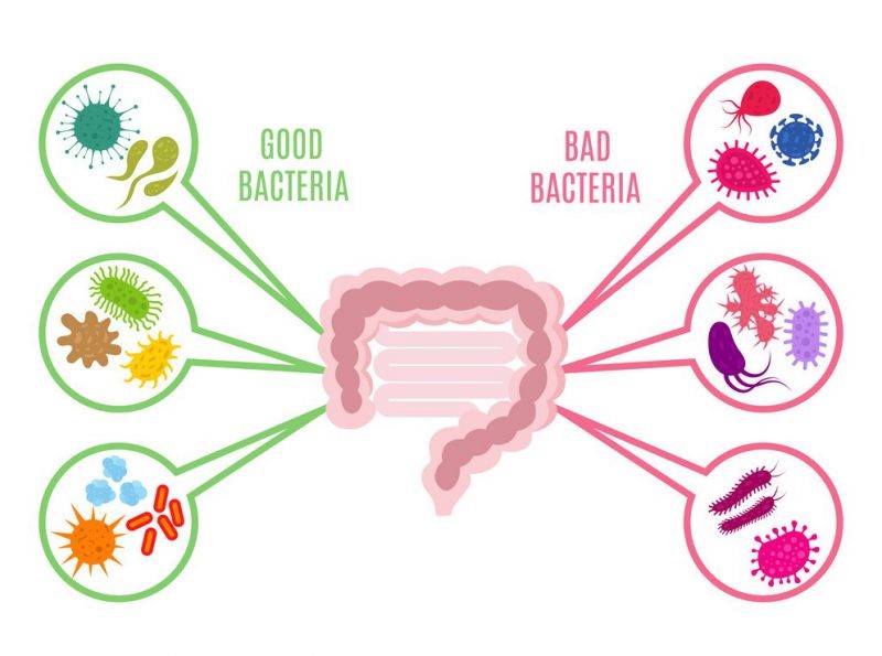 đau bụng nên ăn gì